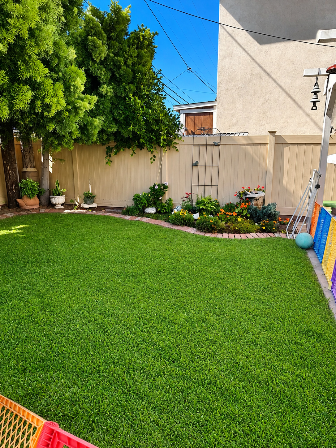 Green grass play area